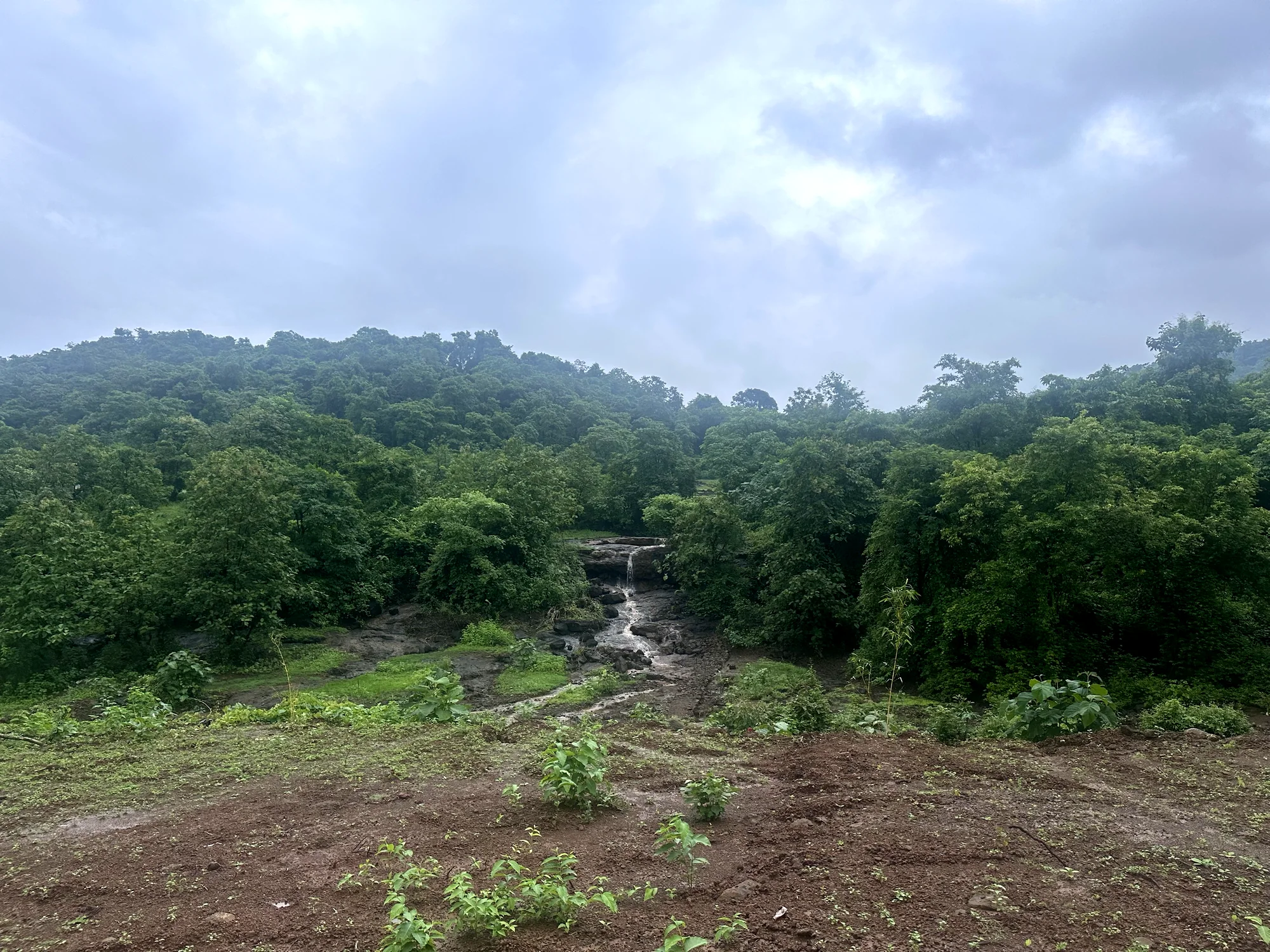 A natural stream running through forest on the Elements site at Pali Khopoli during the monsoon